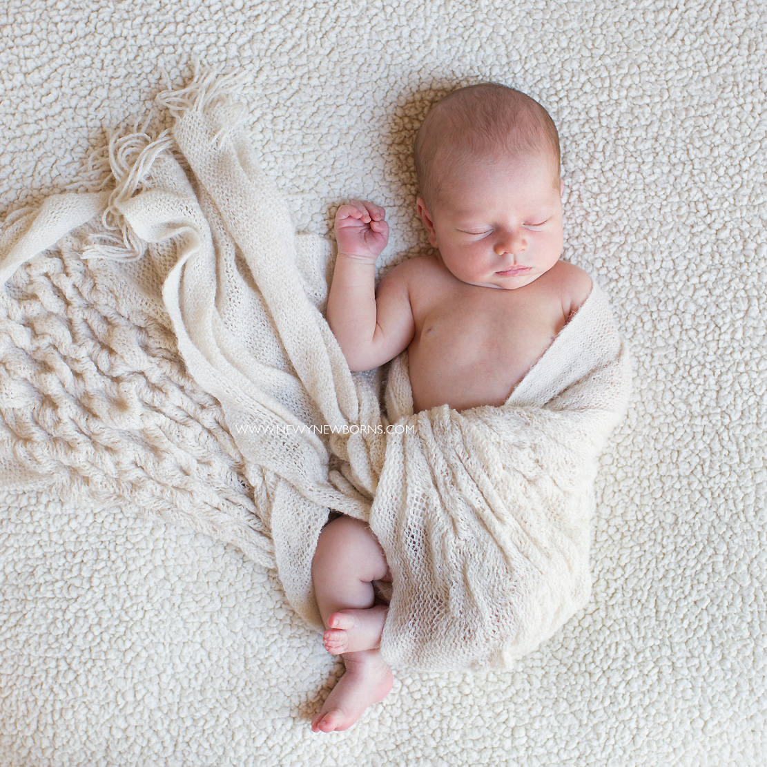 about renee bell newborn photographer