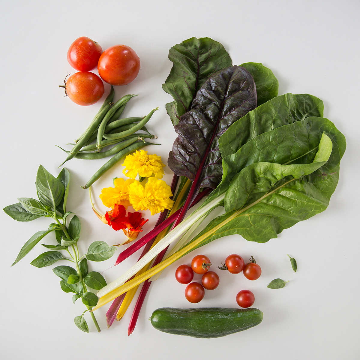 flat lay photo of garden produce